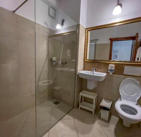 Отель Pension Casa Cu Tei