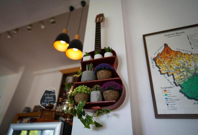 Отель Pension Casa Cu Tei