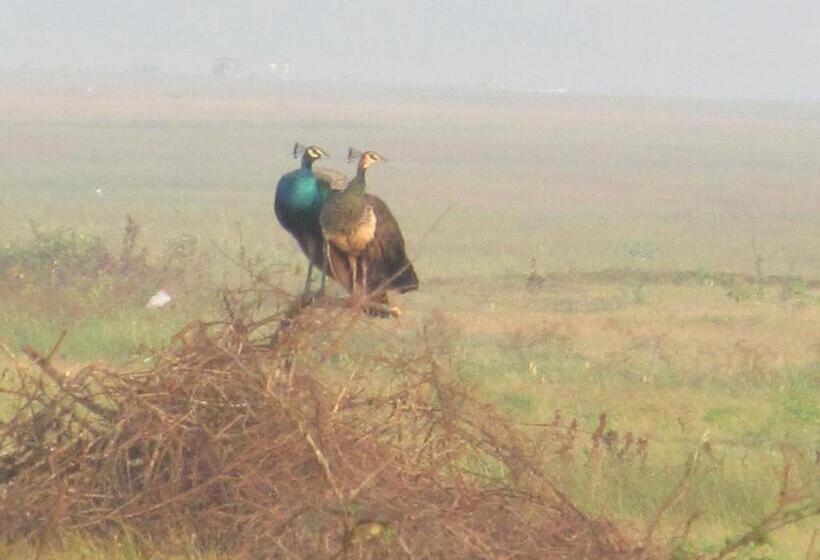 בית מלון כפרי Platinum Resort