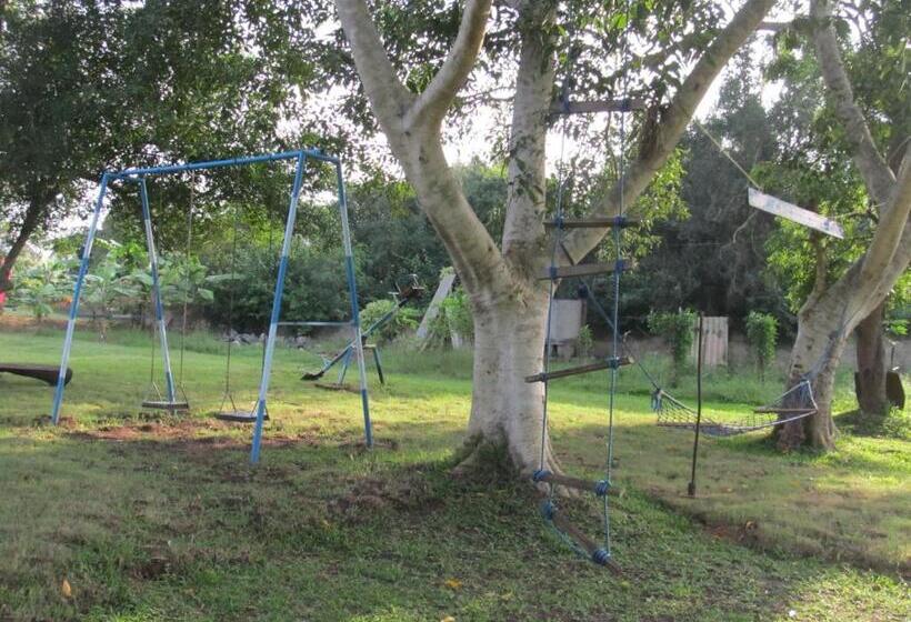 בית מלון כפרי Platinum Resort