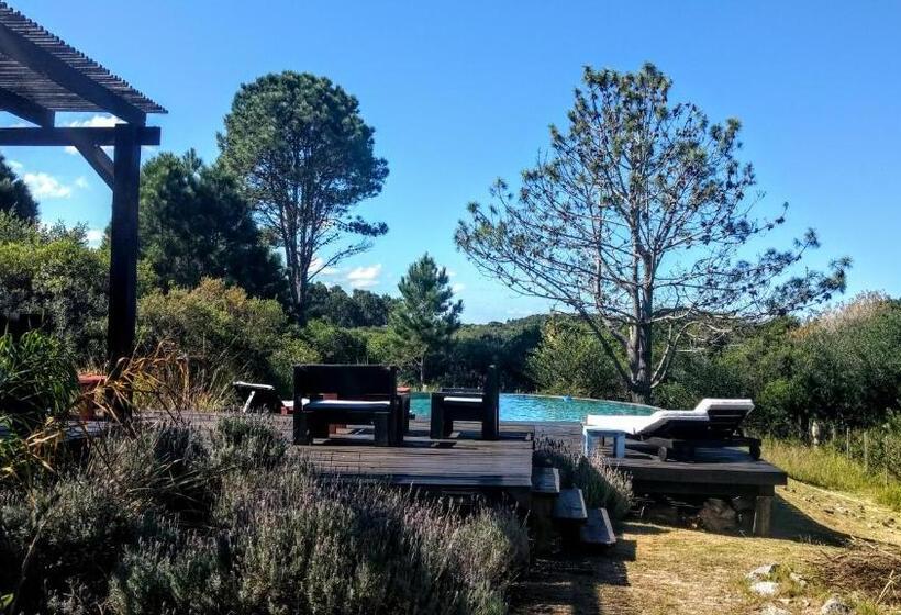 هتل Posada De San Antonio