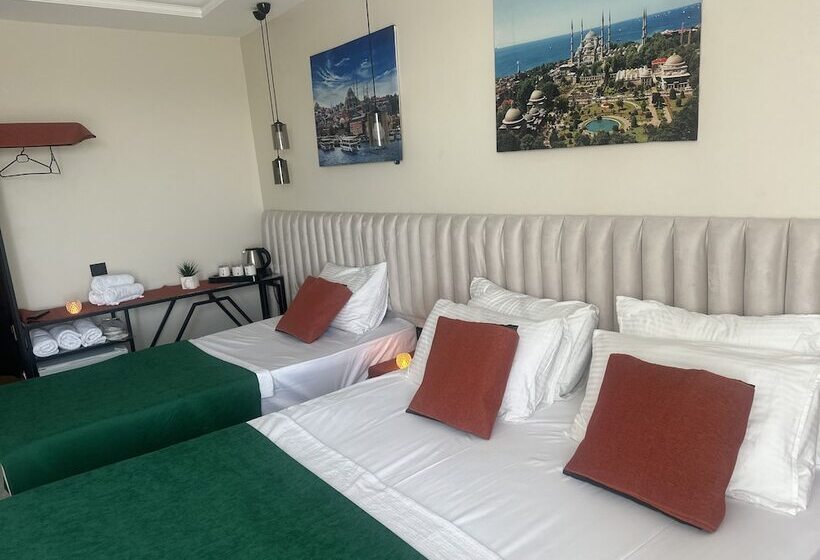 בית מלון כפרי D Twins Airport