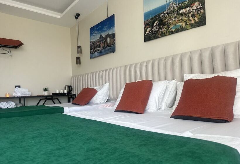 בית מלון כפרי D Twins Airport