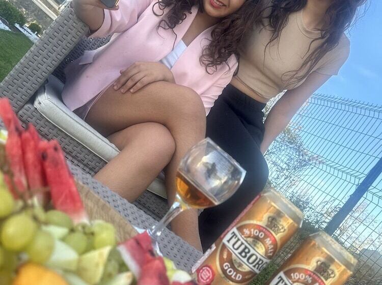 בית מלון כפרי D Twins Airport