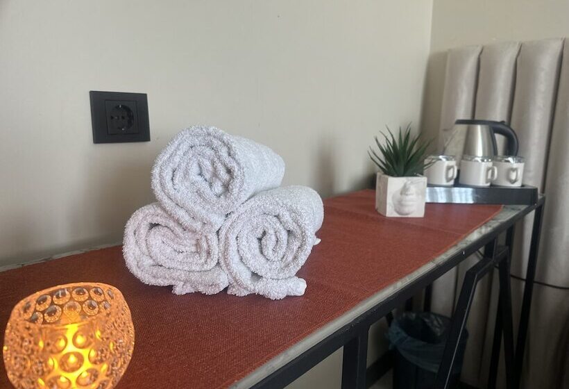 בית מלון כפרי D Twins Airport