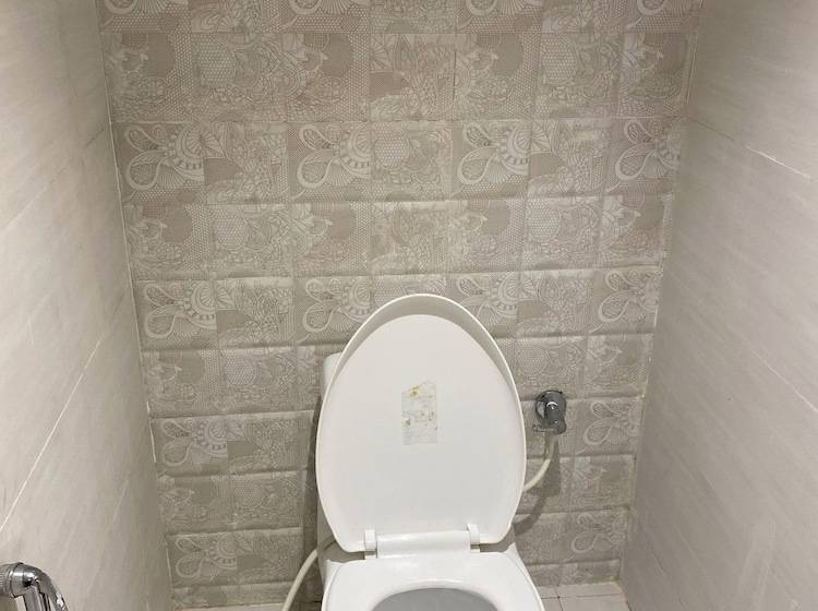 Отель Ramesh Palace