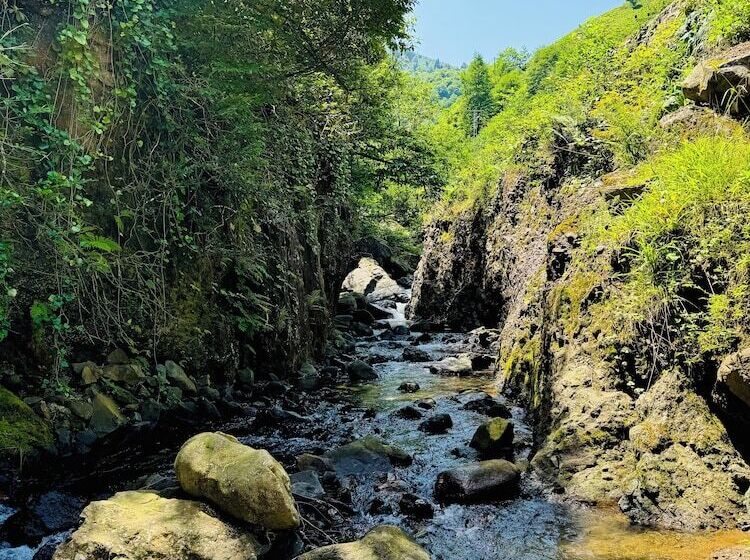 בית מלון כפרי Saklı Vadi Bungalov