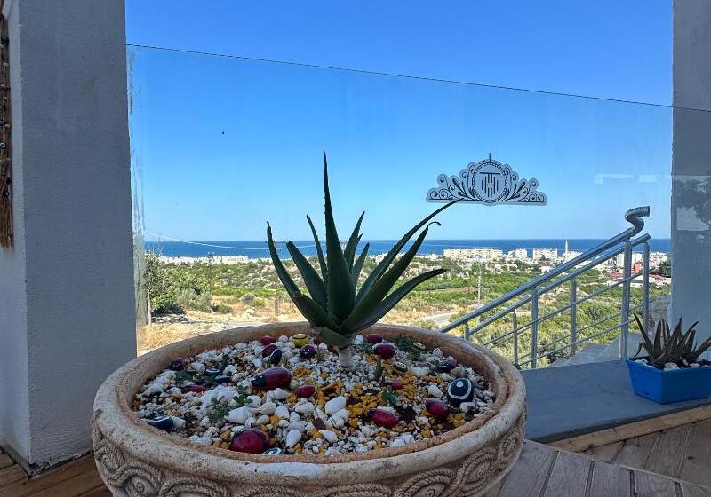 בית מלון כפרי Tek Han Kumkuyu