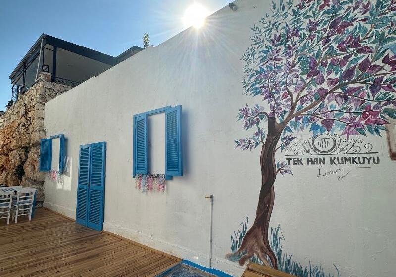 בית מלון כפרי Tek Han Kumkuyu