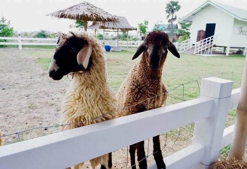 فندق The Memory Luxury Resort