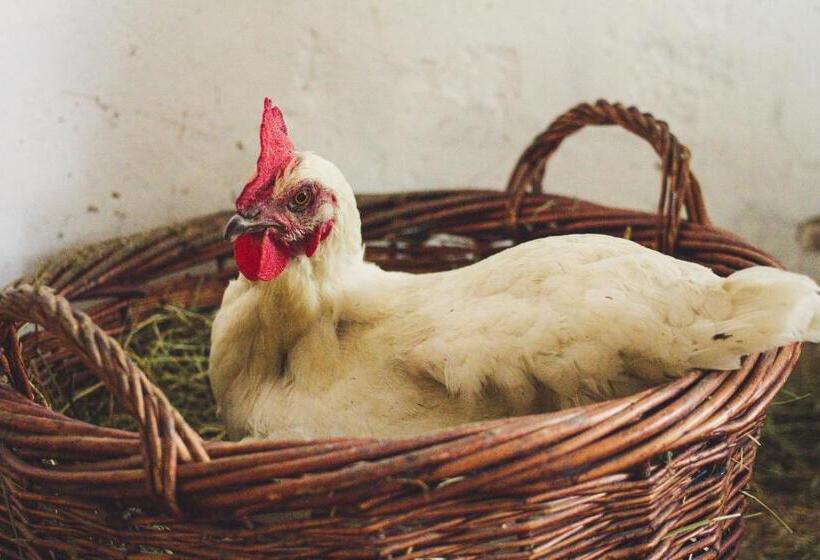 酒店 Unterbiberghof