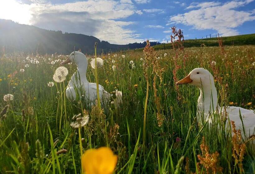 酒店 Unterbiberghof