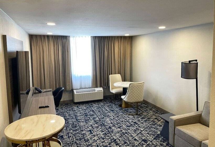 هتل Wyndham Dfw Airport