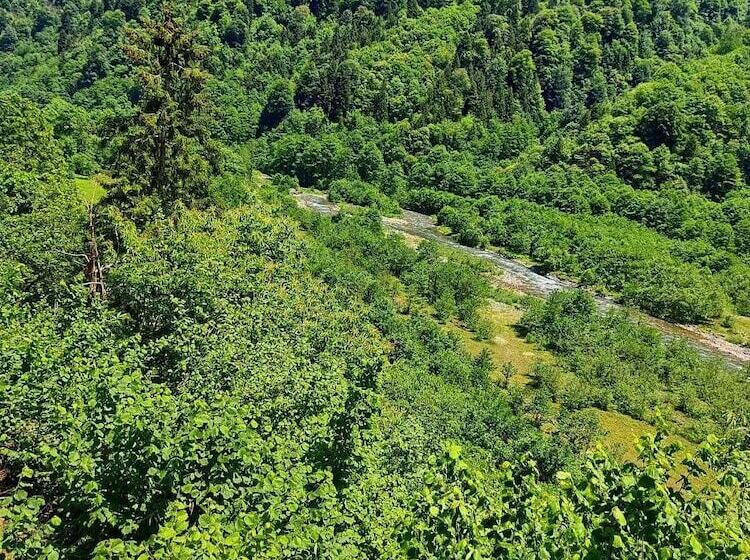 Meydan şelale Apart