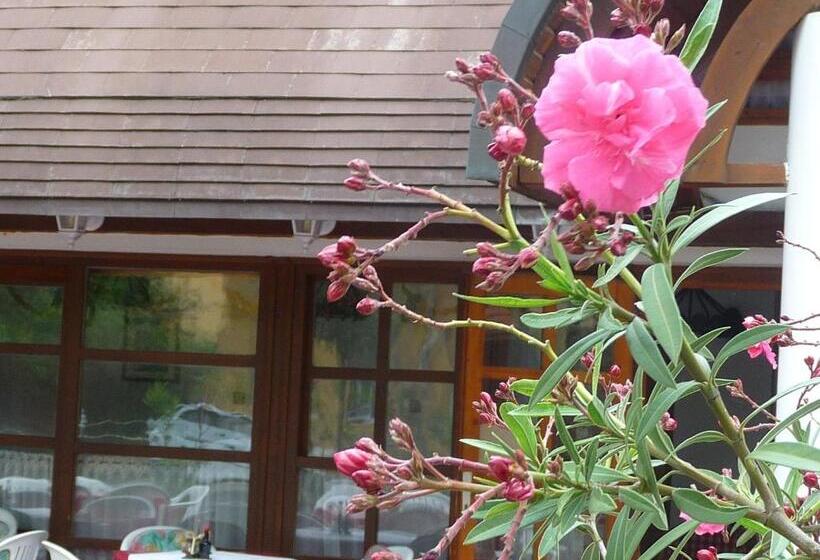 Oleander B&b