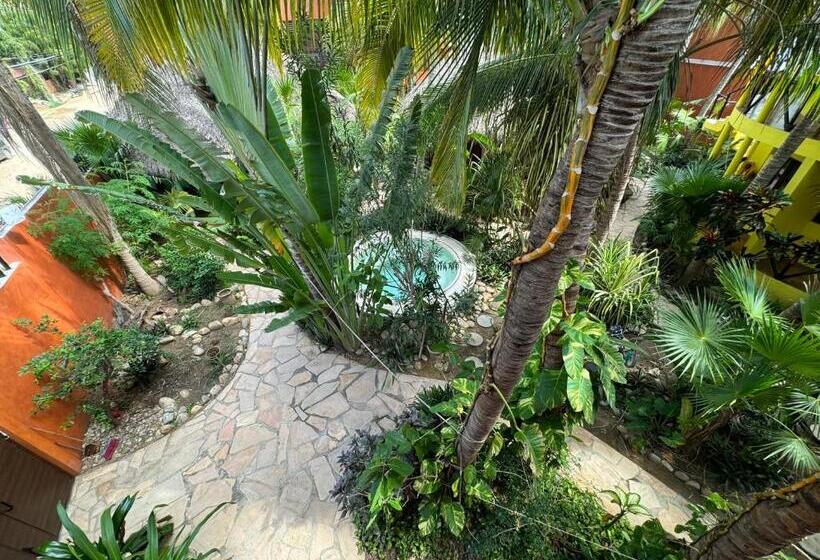 One Love Hostal Puerto Escondido