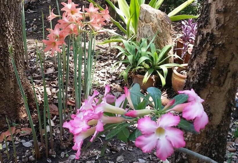 פנסיון Ban Sabai Sabai Guest House