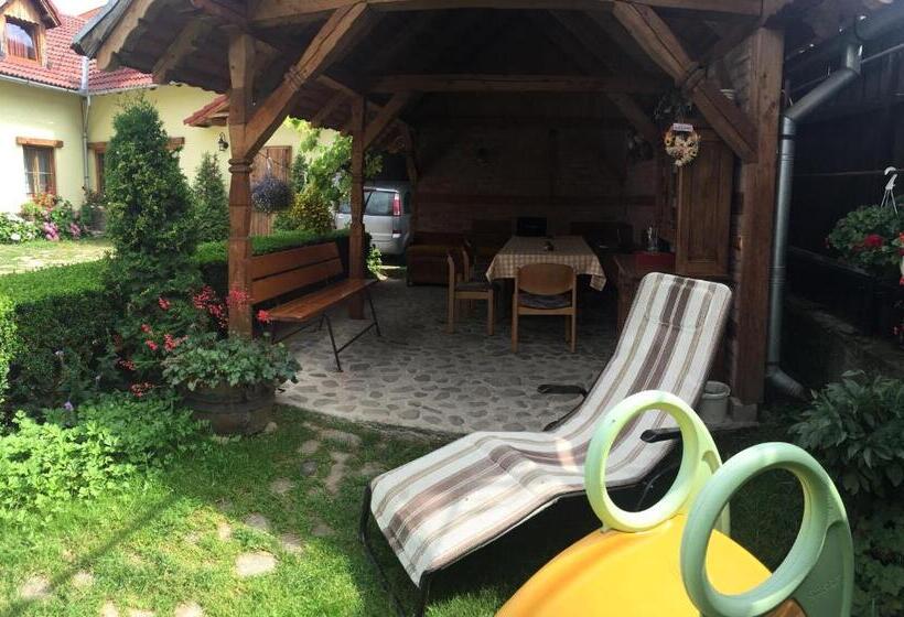 펜션 Casa Bunicilor