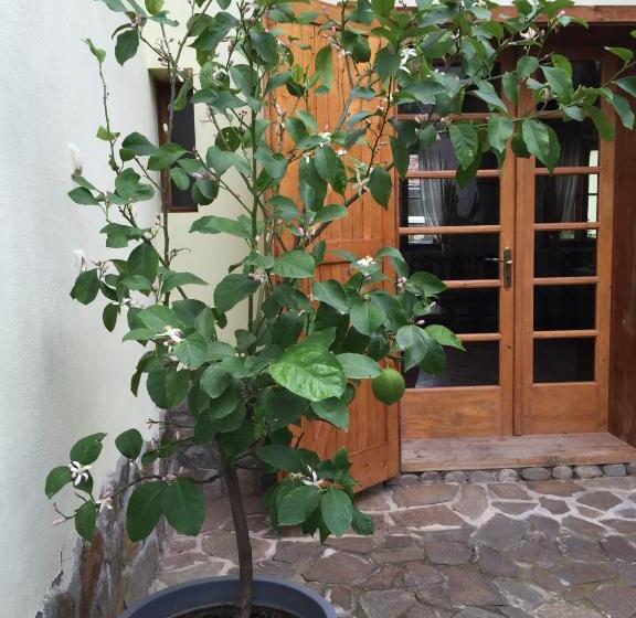 펜션 Casa Bunicilor