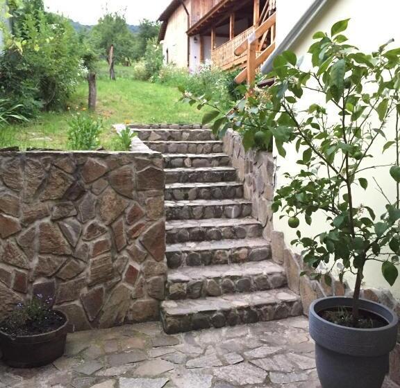 펜션 Casa Bunicilor