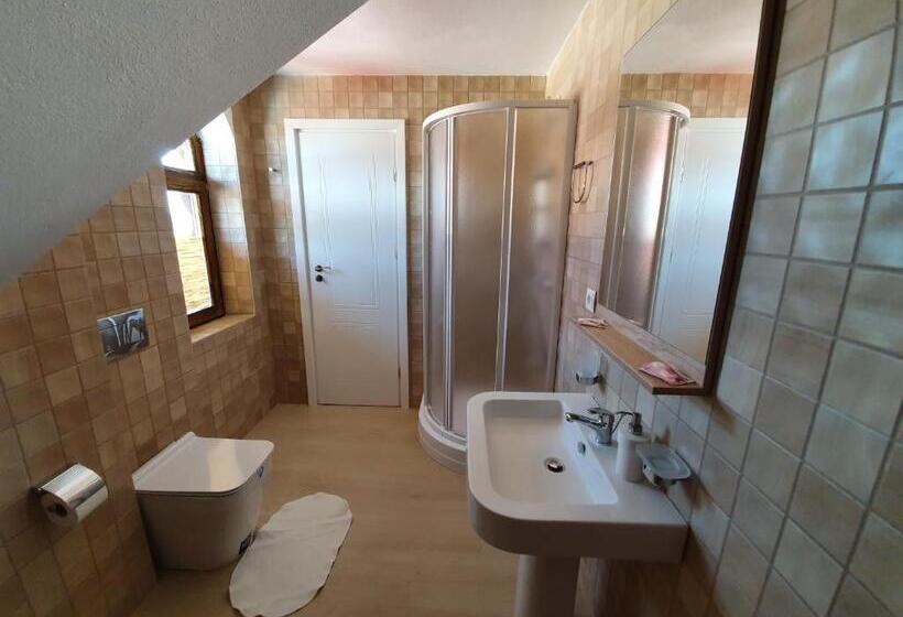 ペンション Casa Cartianu