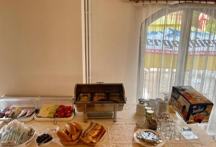 ペンション Casa Cartianu