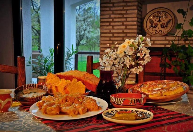 ペンション Casa Cartianu