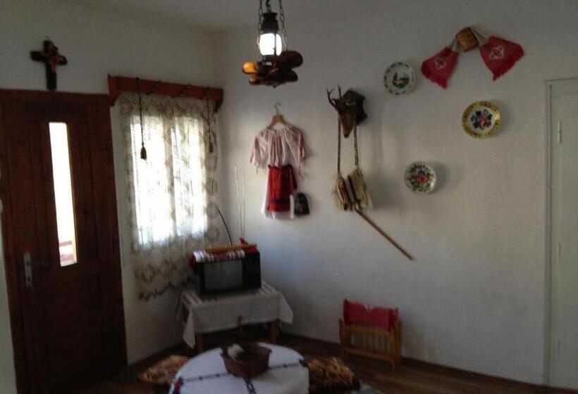 ペンション Casa De Vacanta Joldes