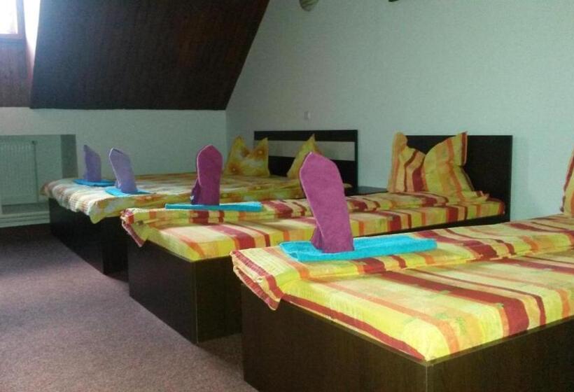 פנסיון Casa Frasin