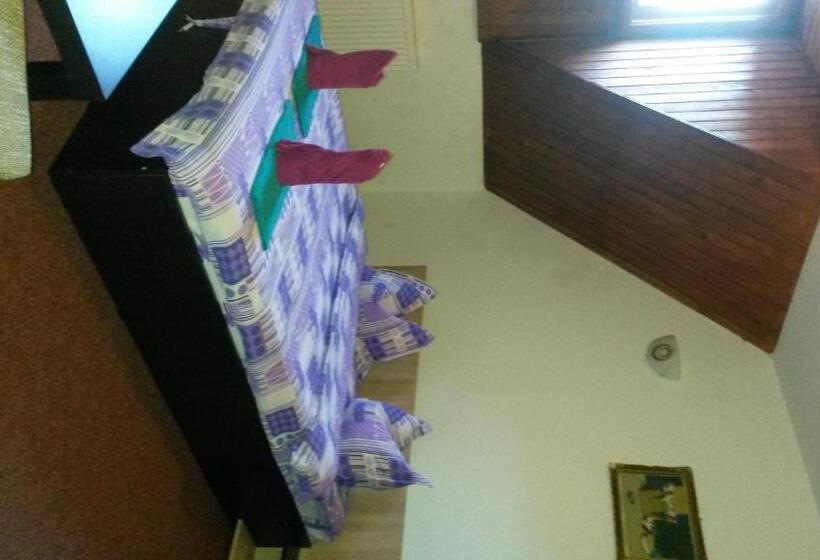 פנסיון Casa Frasin