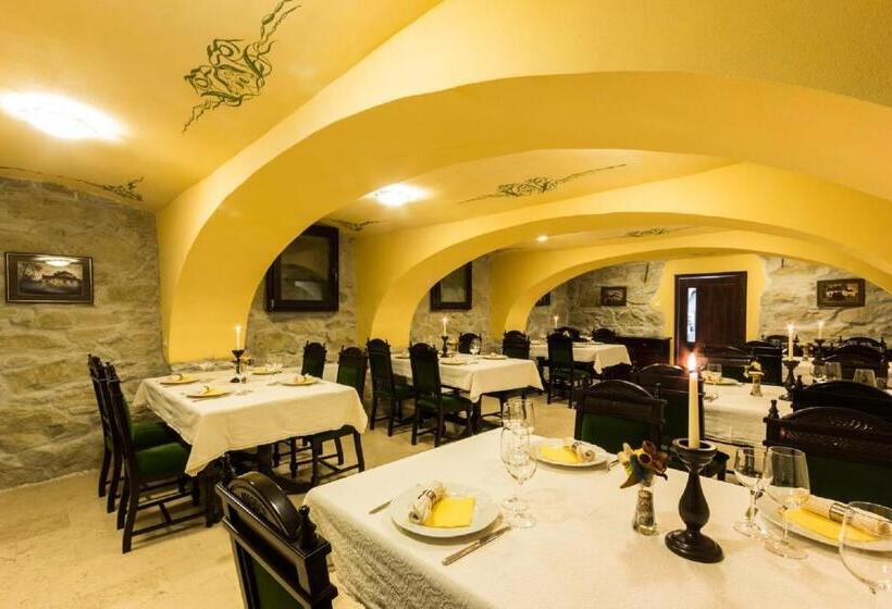 ペンション Conacul Benke