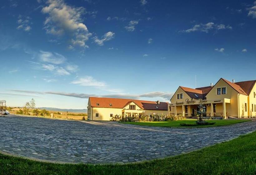 ペンション Conacul Benke