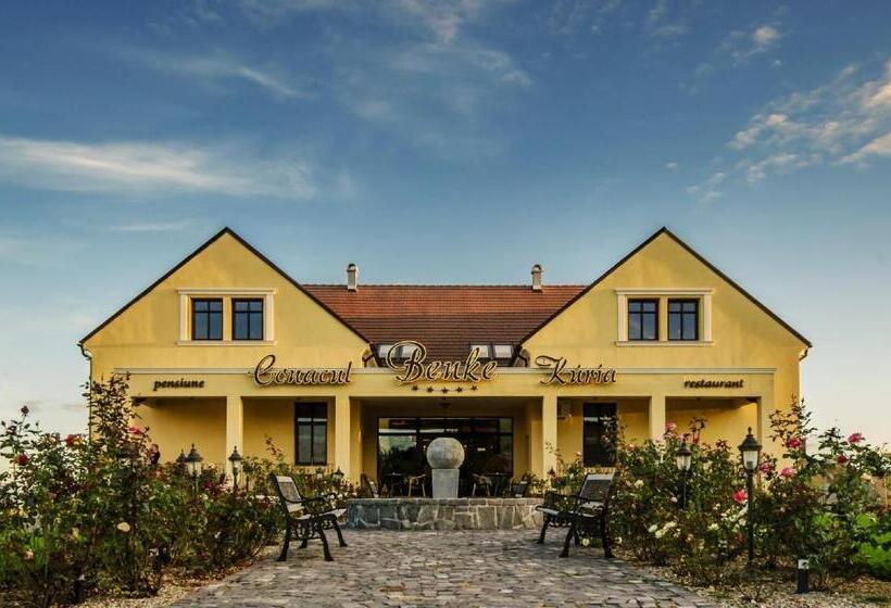 ペンション Conacul Benke