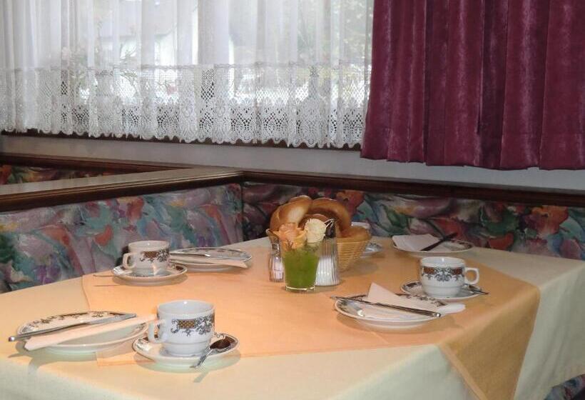 بنسيون Garni Rudigier