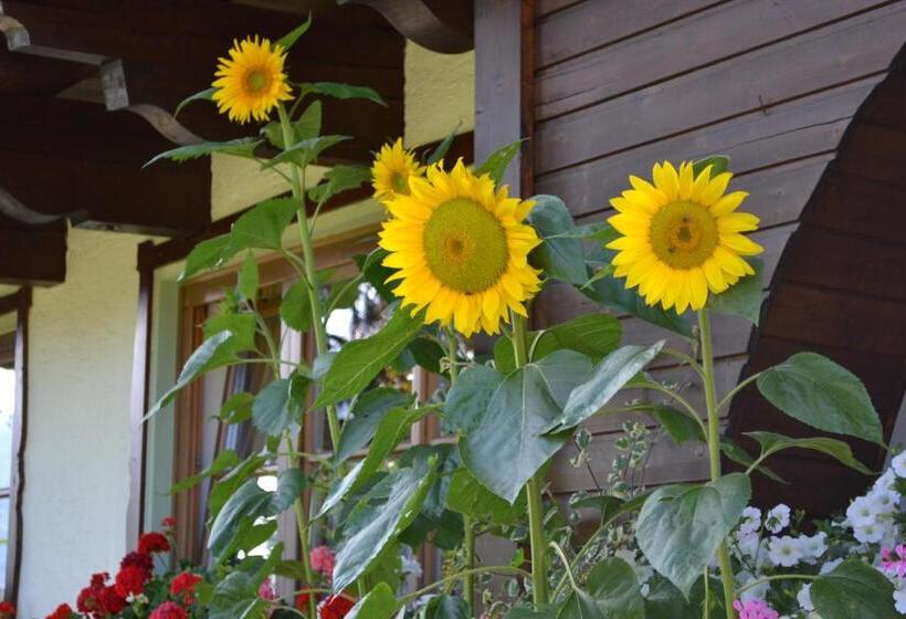 Пансион Haus Thurner