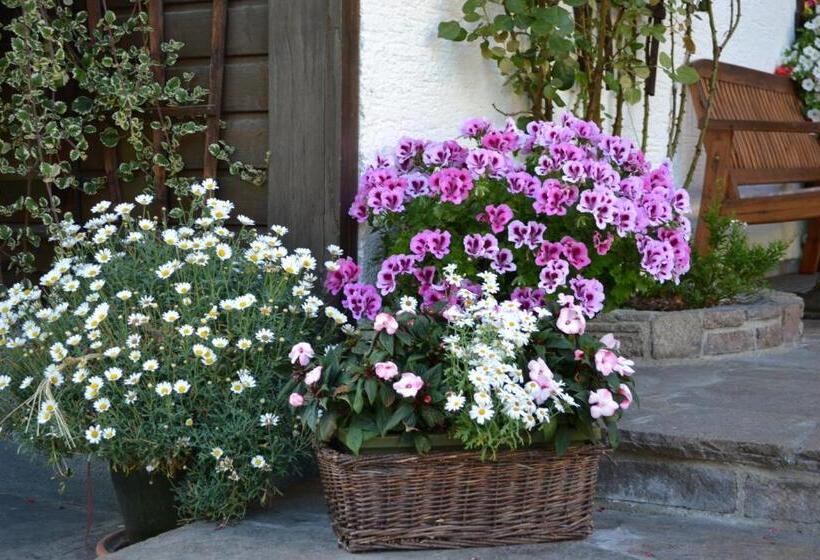 Пансион Haus Thurner