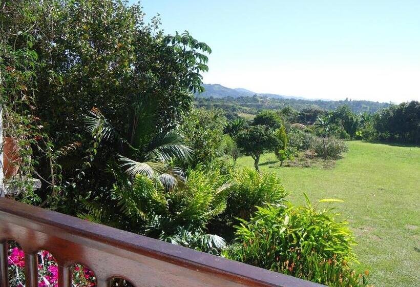 ペンション Hostal Pachamama