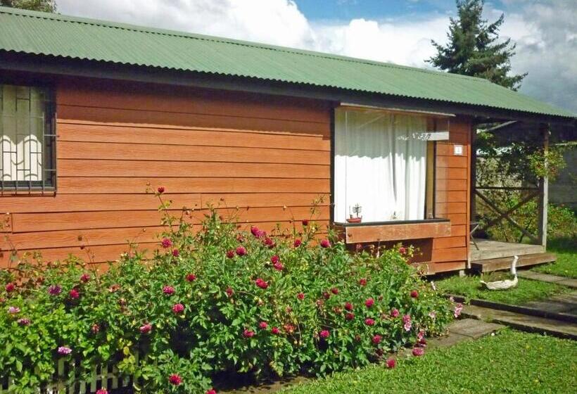 ペンション Hostal Y Cabañas Villa Germana