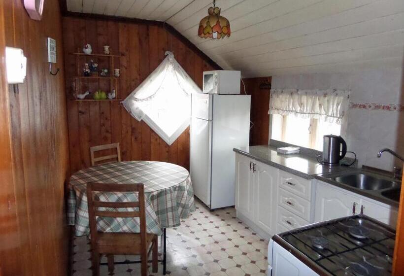 ペンション Hostal Y Cabañas Villa Germana