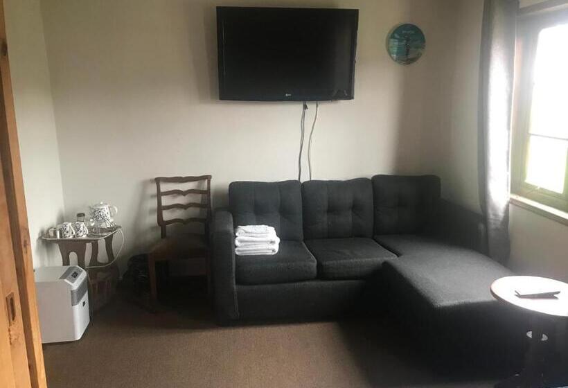 ペンション Hostal Y Cabañas Villa Germana