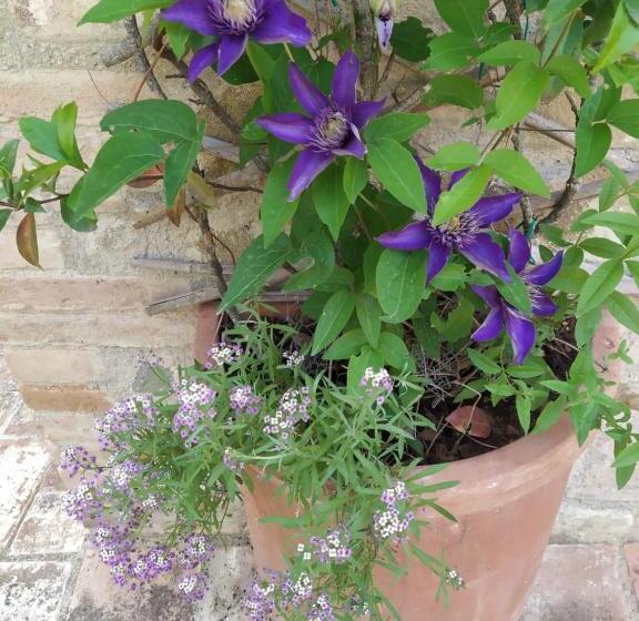 פנסיון La Casaccia