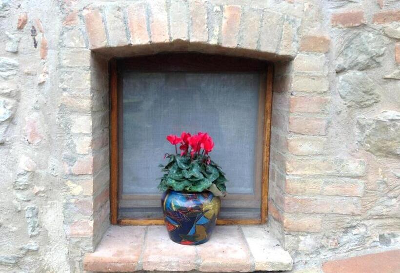 פנסיון La Casaccia