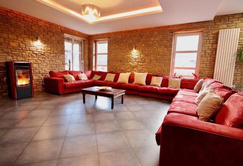 펜션 La Villa Roannaise