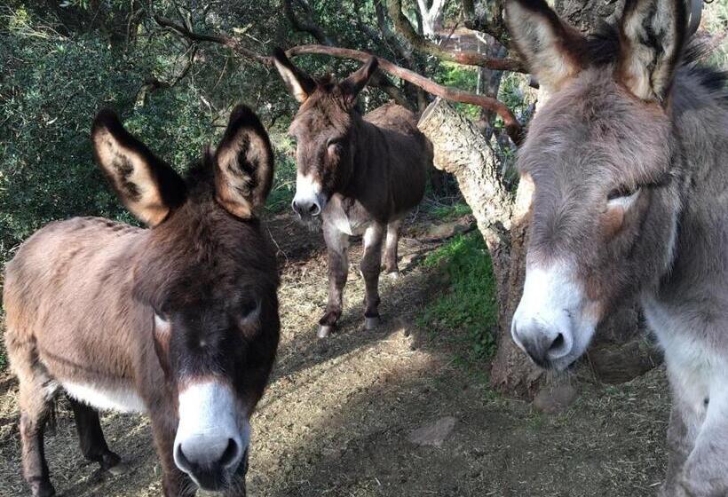 膳宿费 Massacan Vue Mer