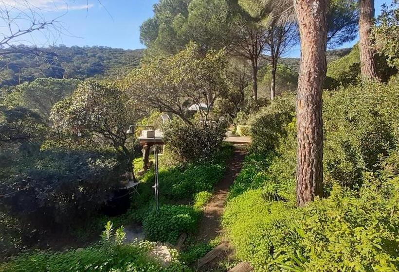 膳宿费 Massacan Vue Mer