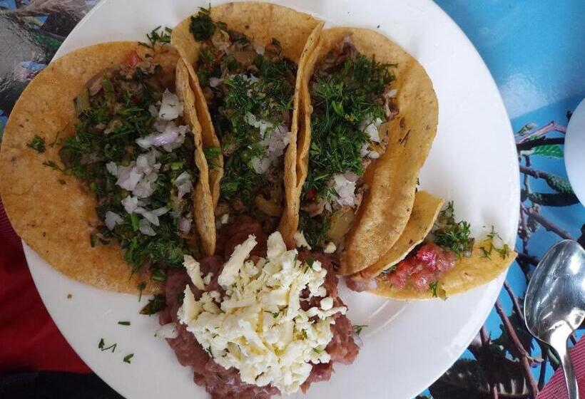 פנסיון Monte Verde Cabañas Y Camping