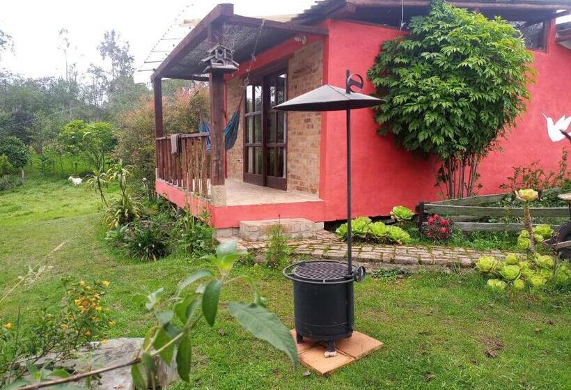 פנסיון Monte Verde Cabañas Y Camping