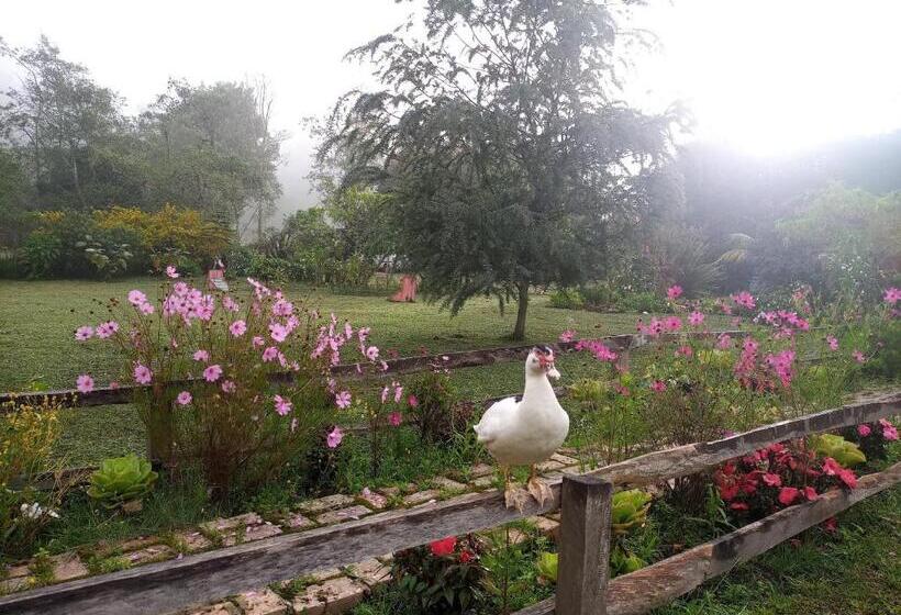 פנסיון Monte Verde Cabañas Y Camping