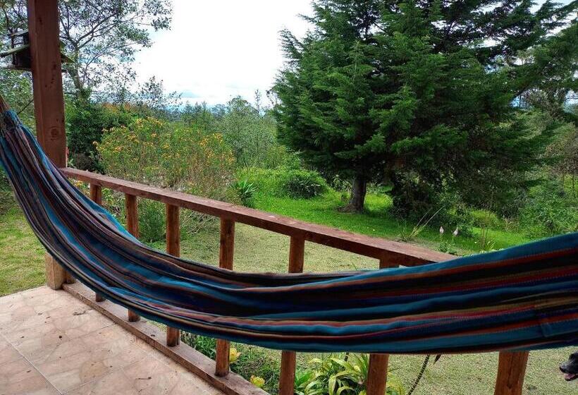 פנסיון Monte Verde Cabañas Y Camping