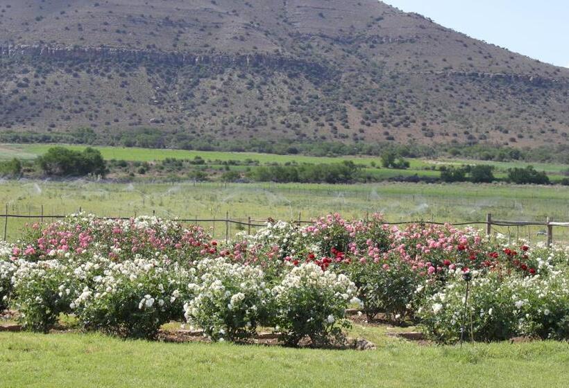 بنسيون Mountain View Country Guest House